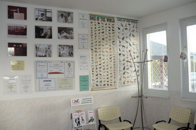 Veterinrn ordinace, ekrna