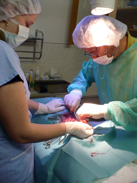 Veterinrn ordinace MVDr. Ivan Malnek